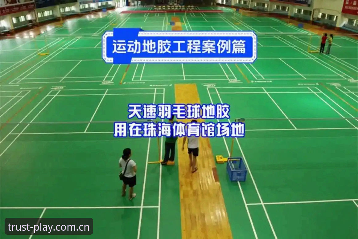 球速娱乐版本 球速体育平台最新版本下载与使用教程:从安装到畅玩全指南